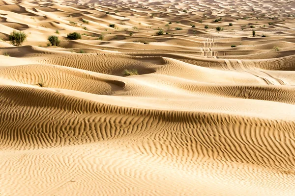 O deserto do Saara na Tunísia — Fotografia de Stock
