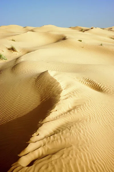 Dunas no deserto do Saara na Tunísia . — Fotografia de Stock