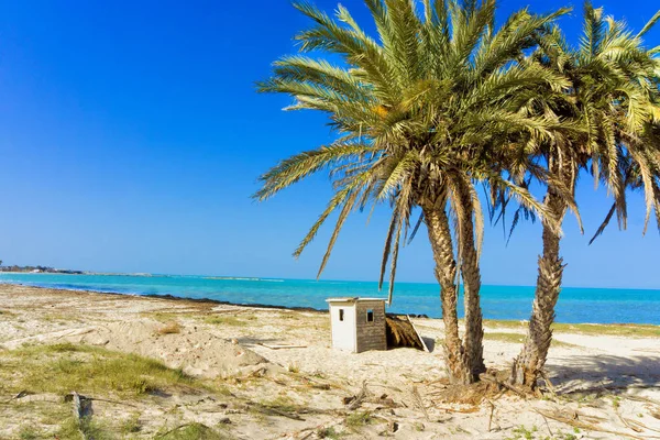 Paisagem do Mar Mediterrâneo com palmeiras em Djerba, Tu — Fotografia de Stock