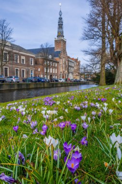Van der Werf Parkı 'ndaki Heilige Lodewijkkerk manzarası. Bahar çiçeklerinin ve yeşil çimenlerin manzarası. Parkta çiçek açan Crocus. Leiden şehri. Hollanda. 