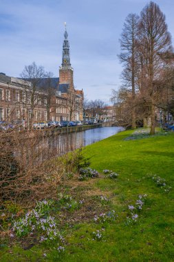 Van der Werf Parkı 'ndaki Heilige Lodewijkkerk manzarası. Bahar çiçeklerinin ve yeşil çimenlerin manzarası. Parkta çiçek açan Crocus. Leiden şehri. Hollanda. 