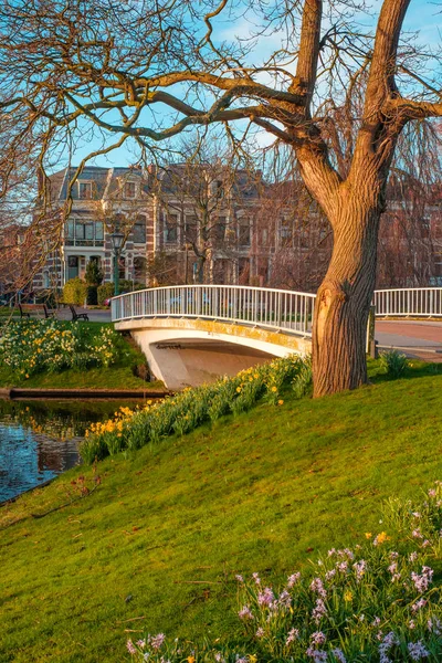 Bridge Park Canal Water Leiden Netherlands — Stock Photo, Image