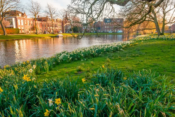 Sahne Bahar Yeşil Park Kanal Leiden Hollanda — Stok fotoğraf