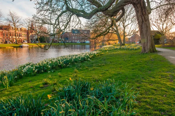 Sahne Bahar Yeşil Park Kanal Leiden Hollanda — Stok fotoğraf