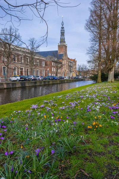 Άποψη Του Heilige Lodewijkkerk Από Πάρκο Van Der Werf Park — Φωτογραφία Αρχείου