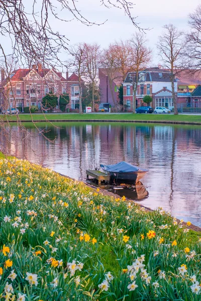 Scenery Blooming Flowers Park Canal Boat Water Leiden Netherlands — Stock Photo, Image