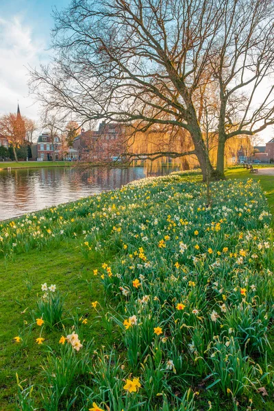 Scenery Spring Blooms Park Canal Water Leiden Netherlands — Stock Photo, Image