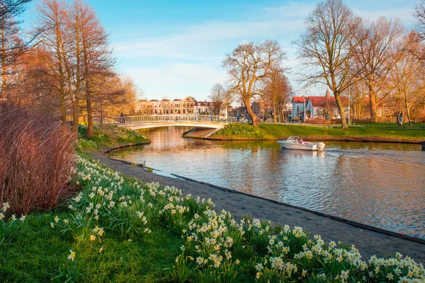 Διώρυγα Γέφυρα Στο Πάρκο Ανοιξιάτικα Λουλούδια Λάιντεν Ολλανδία — Φωτογραφία Αρχείου