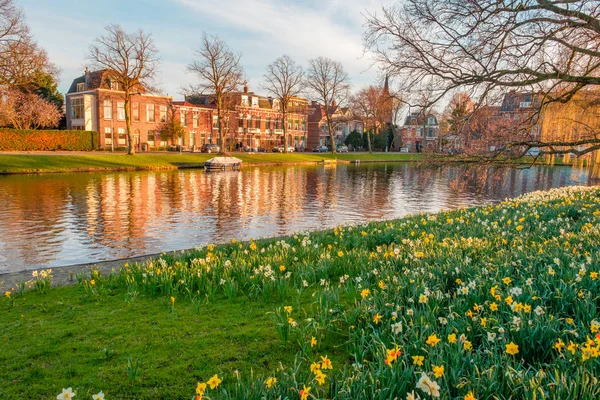 Park Kanal Leiden Hollanda Tarafından Bahar Çiçek Toplayan — Stok fotoğraf