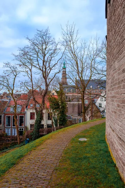 Alberi Primavera Strada Con Architettura Tradizionale Europea Leida Paesi Bassi — Foto Stock