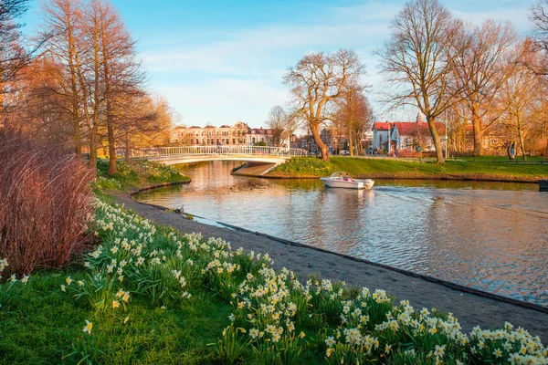 Bridge Park Ile Bahar Çiçekleri Leiden Hollanda Ile Kanal — Stok fotoğraf