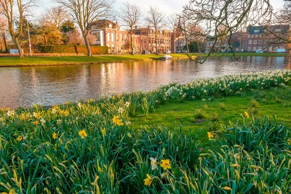 Sahne Bahar Yeşil Park Kanal Leiden Hollanda — Stok fotoğraf