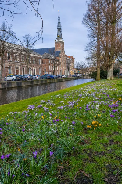 Utsikt Över Heilige Lodewijkkerk Från Parken Van Der Werf Park — Stockfoto