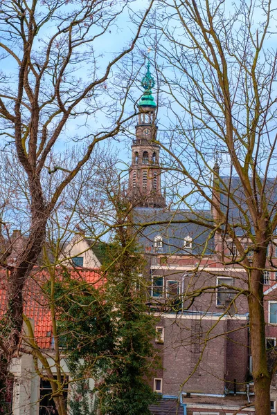Leiden Hollanda Geleneksel Avrupa Mimarisi Ile Sokakta Bahar Ağaçları — Stok fotoğraf
