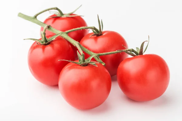 Gałąź Pomidorów Wiśniowych Białym Tle — Zdjęcie stockowe
