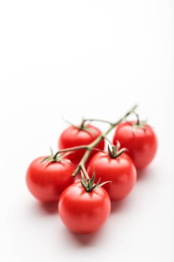 Beyaz arka planda kiraz domates Dalı