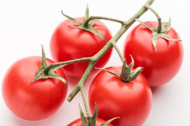 beyaz arka plan üzerinde kiraz domates dalı yakın