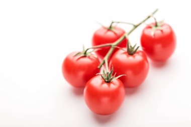 Beyaz arka planda kiraz domates Dalı