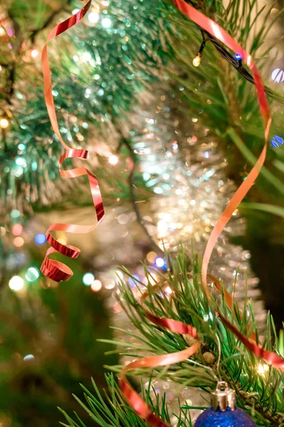 크리스마스 전나무 나무에 매달려 — 스톡 사진