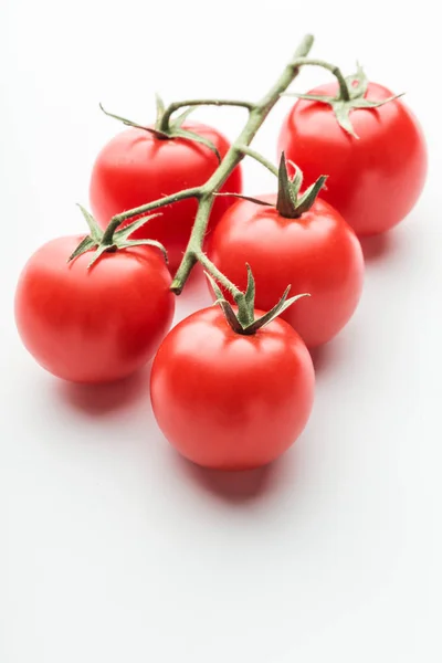 Branche Tomates Cerises Sur Fond Blanc — Photo