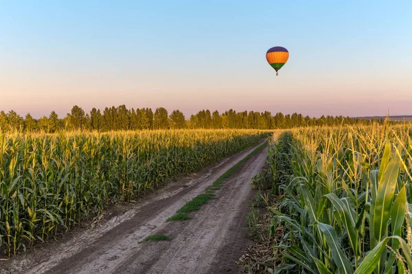 Hot Air Balloon Road Green Field Farmland Countryside — Stock Photo, Image