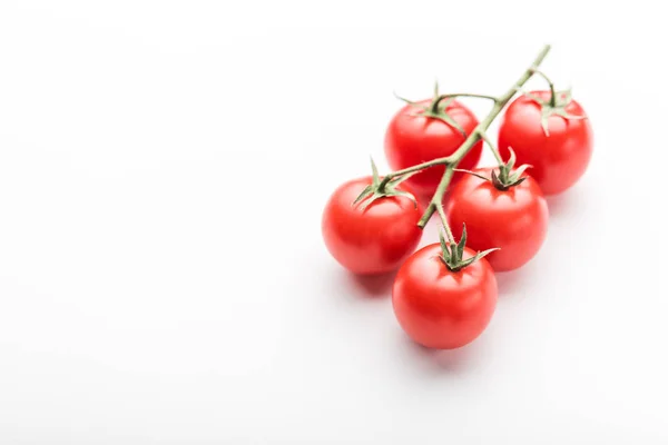 Rama Tomates Cherry Sobre Fondo Blanco — Foto de Stock