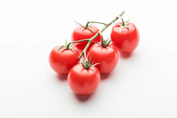 Tak Van Cherry Tomaten Witte Achtergrond — Stockfoto