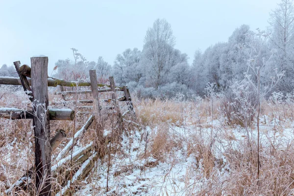 Cerca Rural Madeira Campo Invernado — Fotografia de Stock