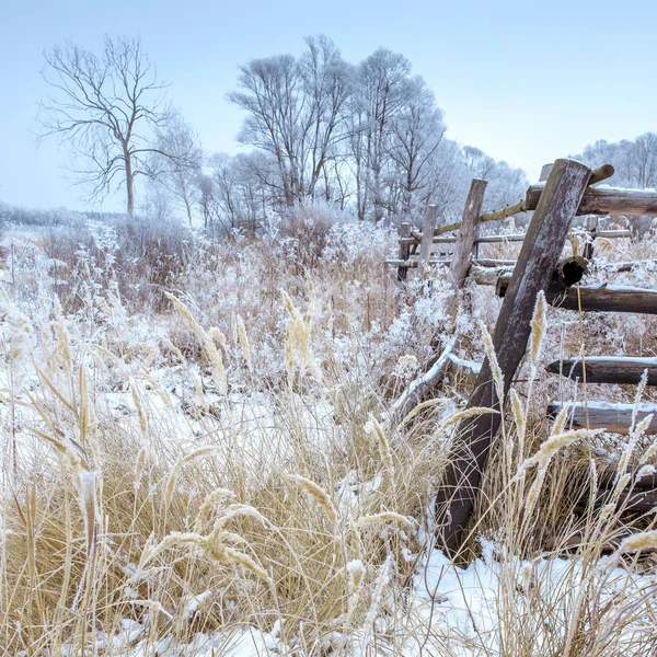 Falusi Kerítés Téli Vidéken — Stock Fotó