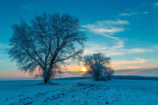 Landelijke Weg Besneeuwde Bomen Bij Zonsondergang Het Winterse Landschap — Stockfoto