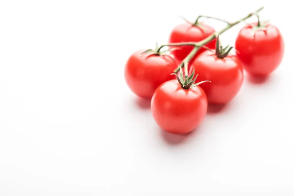 Rama Tomates Cherry Sobre Fondo Blanco — Foto de Stock