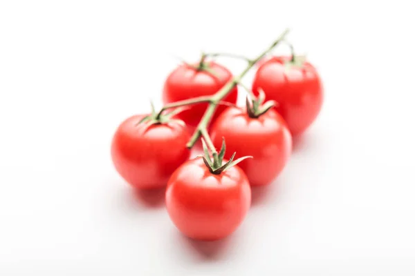 Enfoque Selectivo Rama Tomates Cherry Sobre Fondo Blanco — Foto de Stock