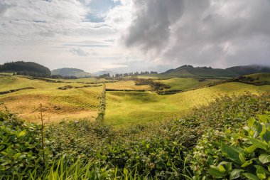Azores, Portekiz, Avrupa'da tarım arazilerinin tepeleri ve çayırları