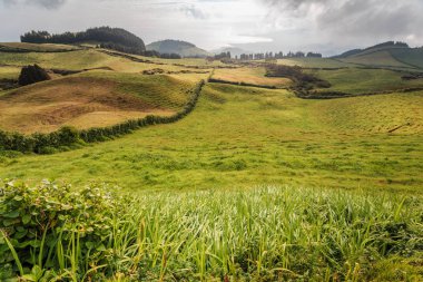 Azores, Portekiz, Avrupa'da tarım arazilerinin tepeleri ve çayırları