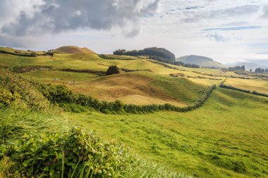 Azores, Portekiz, Avrupa'da tarım arazilerinin tepeleri ve çayırları