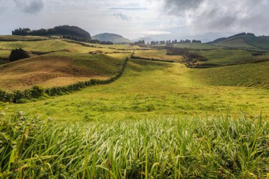 Azores, Portekiz, Avrupa'da tarım arazilerinin tepeleri ve çayırları