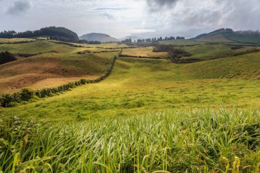 Azores, Portekiz, Avrupa'da tarım arazilerinin tepeleri ve çayırları