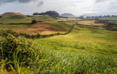 Azores, Portekiz, Avrupa'da tarım arazilerinin tepeleri ve çayırları