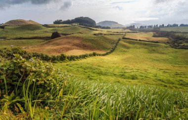 Azores, Portekiz, Avrupa'da tarım arazilerinin tepeleri ve çayırları