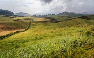 Azores, Portekiz, Avrupa'da tarım arazilerinin tepeleri ve çayırları