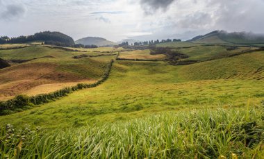 Azores, Portekiz, Avrupa'da tarım arazilerinin tepeleri ve çayırları