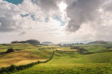 Azores, Portekiz, Avrupa'da tarım arazilerinin tepeleri ve çayırları