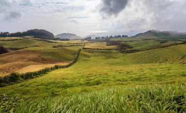 Azores, Portekiz, Avrupa'da tarım arazilerinin tepeleri ve çayırları