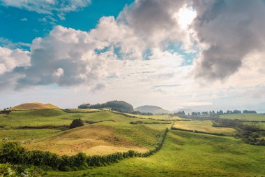 Azores, Portekiz, Avrupa'da tarım arazilerinin tepeleri ve çayırları