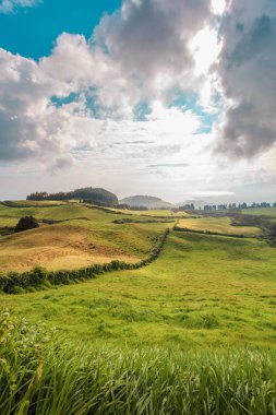 Azores, Portekiz, Avrupa'da tarım arazilerinin tepeleri ve çayırları
