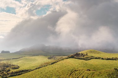 Azores, Portekiz, Avrupa'da tarım arazilerinin tepeleri ve çayırları