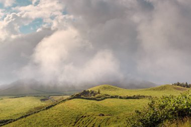 Azores, Portekiz, Avrupa'da tarım arazilerinin tepeleri ve çayırları
