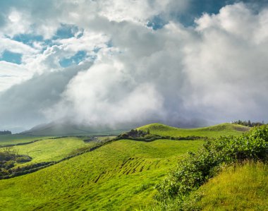 Azores, Portekiz, Avrupa'da tarım arazilerinin tepeleri ve çayırları