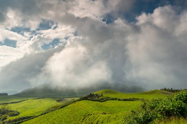 Azores, Portekiz, Avrupa'da tarım arazilerinin tepeleri ve çayırları