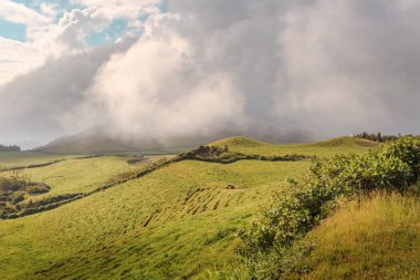 Azores, Portekiz, Avrupa'da tarım arazilerinin tepeleri ve çayırları